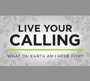 Live Your Calling: What On Earth Am I Here For? - TIO